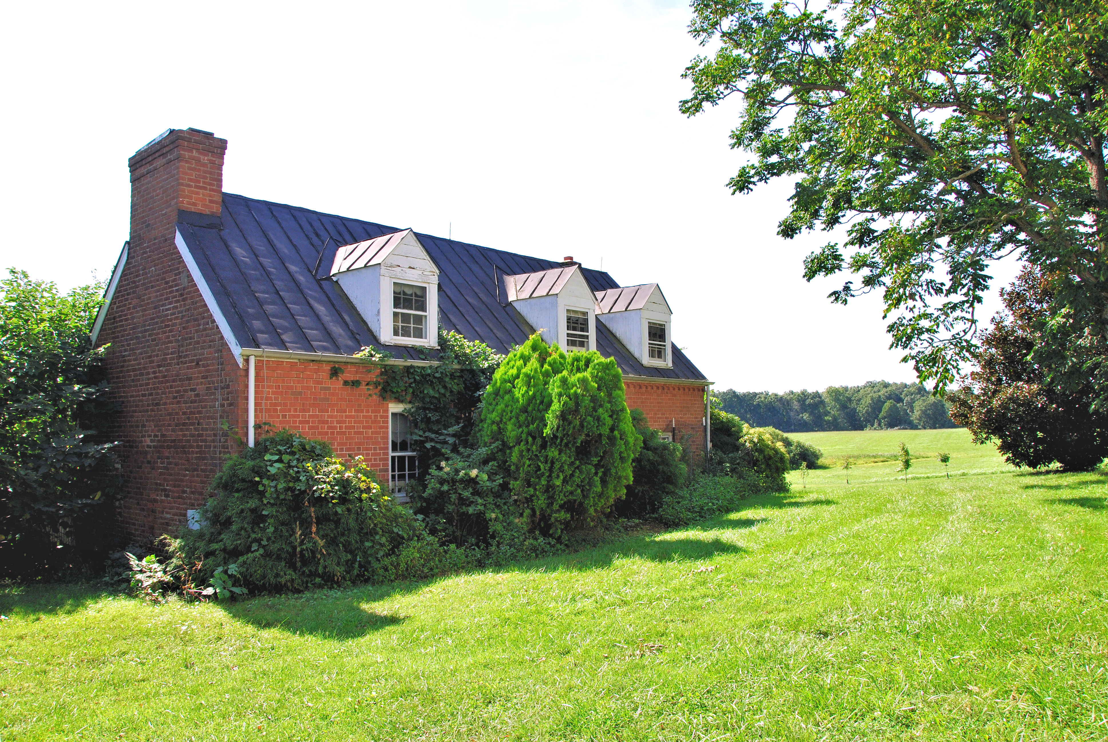 Lovell Farm - Large Farm for Sale in Madison County VA